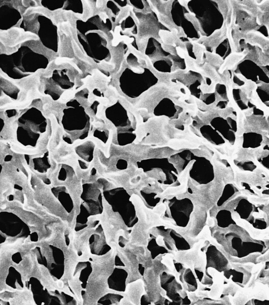 Мембранные дисковые фильтры MF-Millipore, смешанные эфиры целлюлозы, гидрофильные, 0.8 мкм,, 293 мм, белые, гладкие, 25 шт/уп AAWP29325