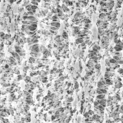 Мембраны ПТФЭ для хроматографии, 25 мм, 0,45 мкм, 100 шт./уп. FHLC02500