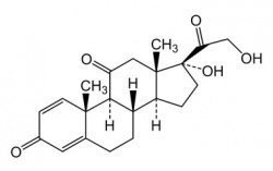 Преднизон - примесь B Артикул: PA 16 44020 CAS номер: 53-03-2