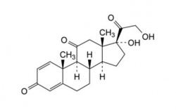 Преднизон Артикул: PA 43 17000 CAS номер: 53-03-2