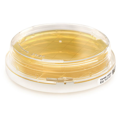 Tryptic Soy Contact Agar + LT - ICRplus 146552