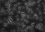 Мембраны Изопор, поликарбонат, 25 мм, 8,0 мкм, 100 шт./уп. TETP02500